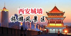 黄色操逼视频网站大全中国陕西-西安城墙旅游风景区